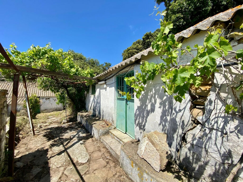 Finca - Cortijo Tarifa Cádiz - image 8