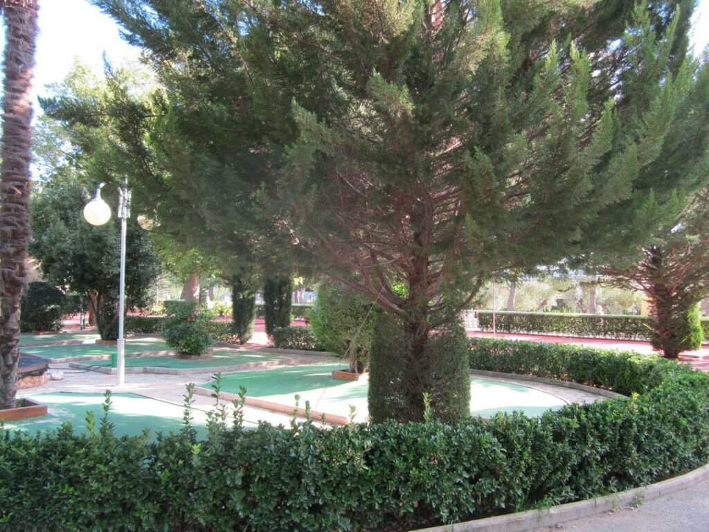 Detached Villa Yecla Murcia - image 8