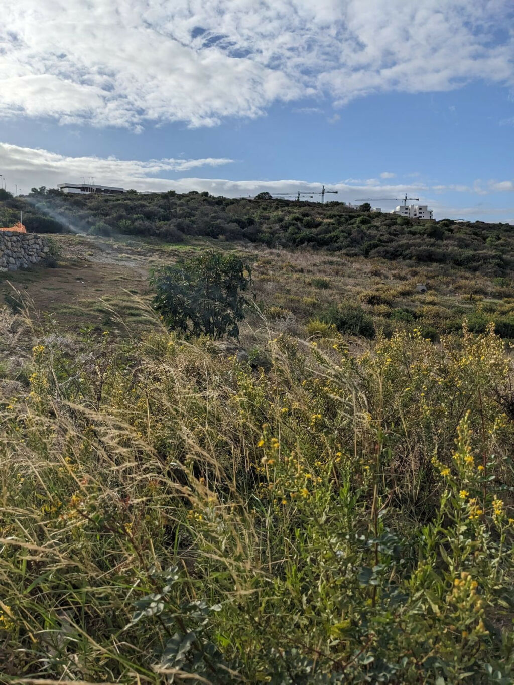 Residential Plot Estepona Málaga