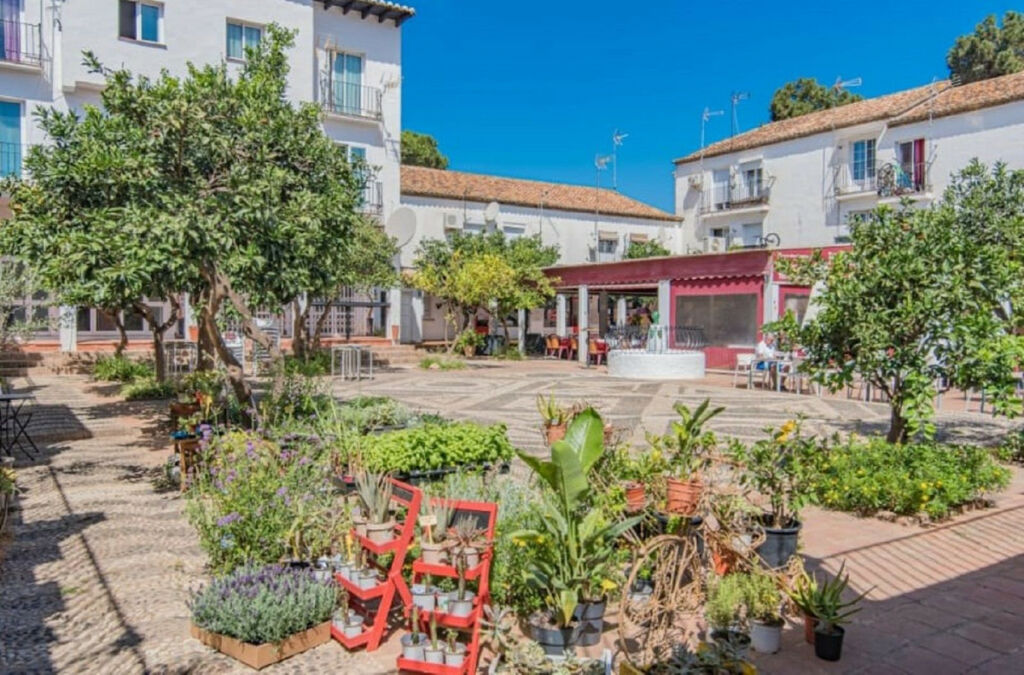 Top Floor Studio Cabopino Málaga
