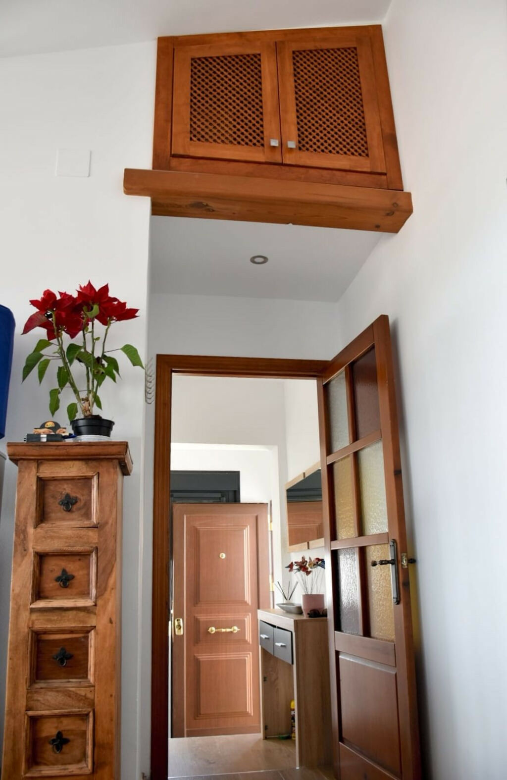 Detached Villa Nerja Málaga - image 10
