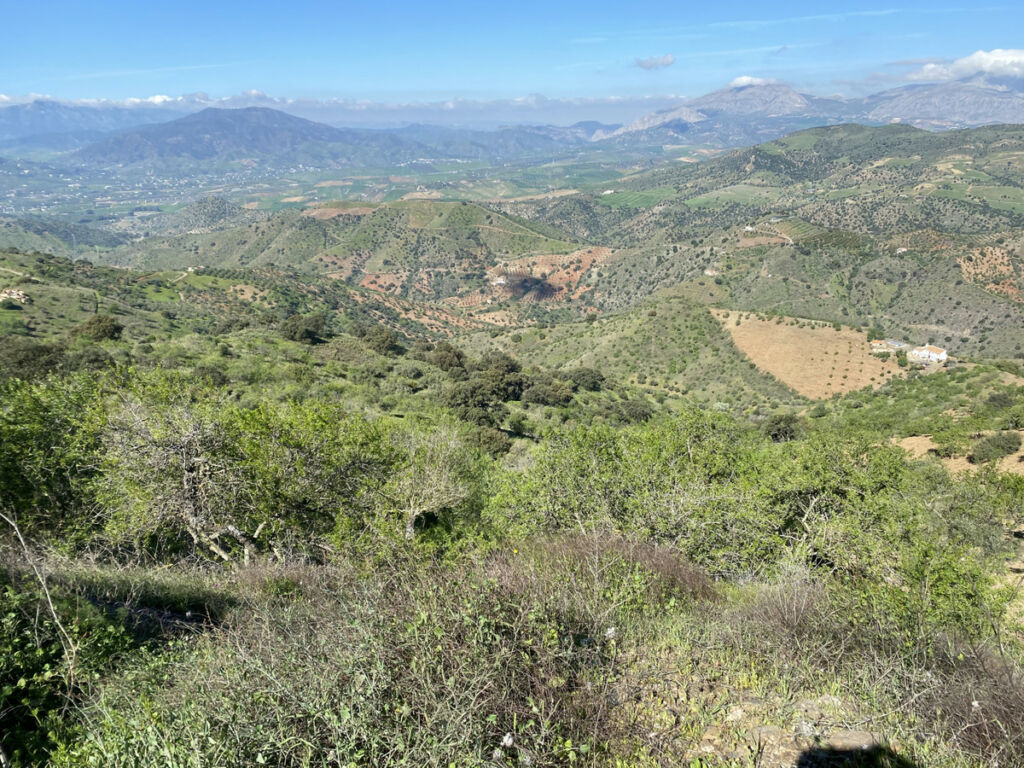 Finca - Cortijo Alora Málaga - image 10