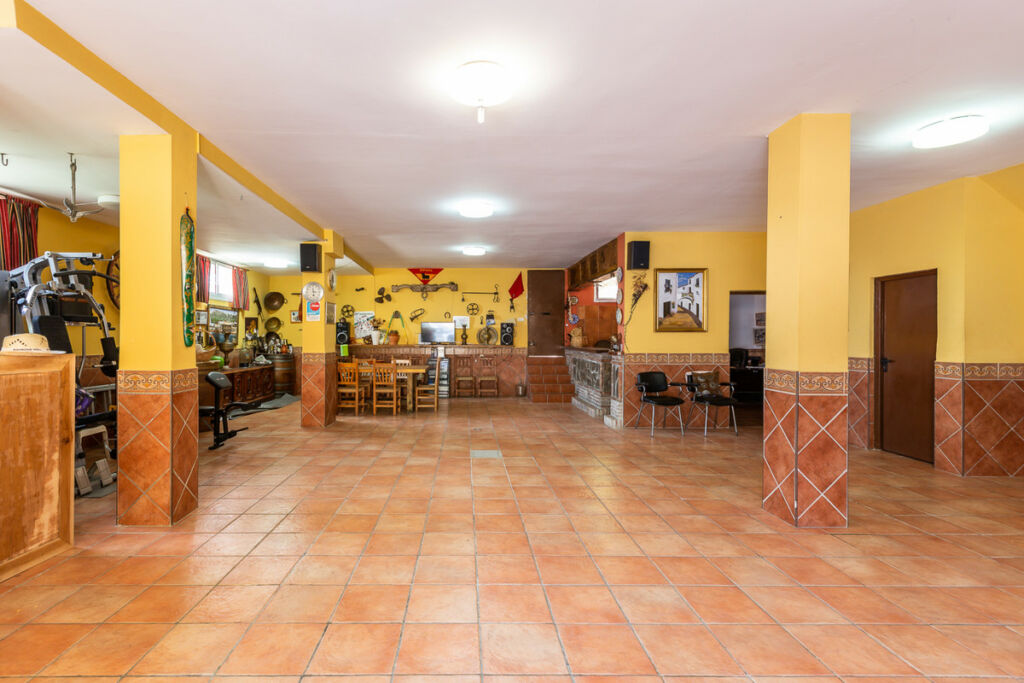 Detached Villa Marbella Málaga - image 12