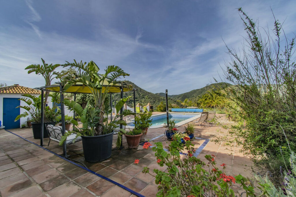 Detached Villa Monda Málaga - image 12