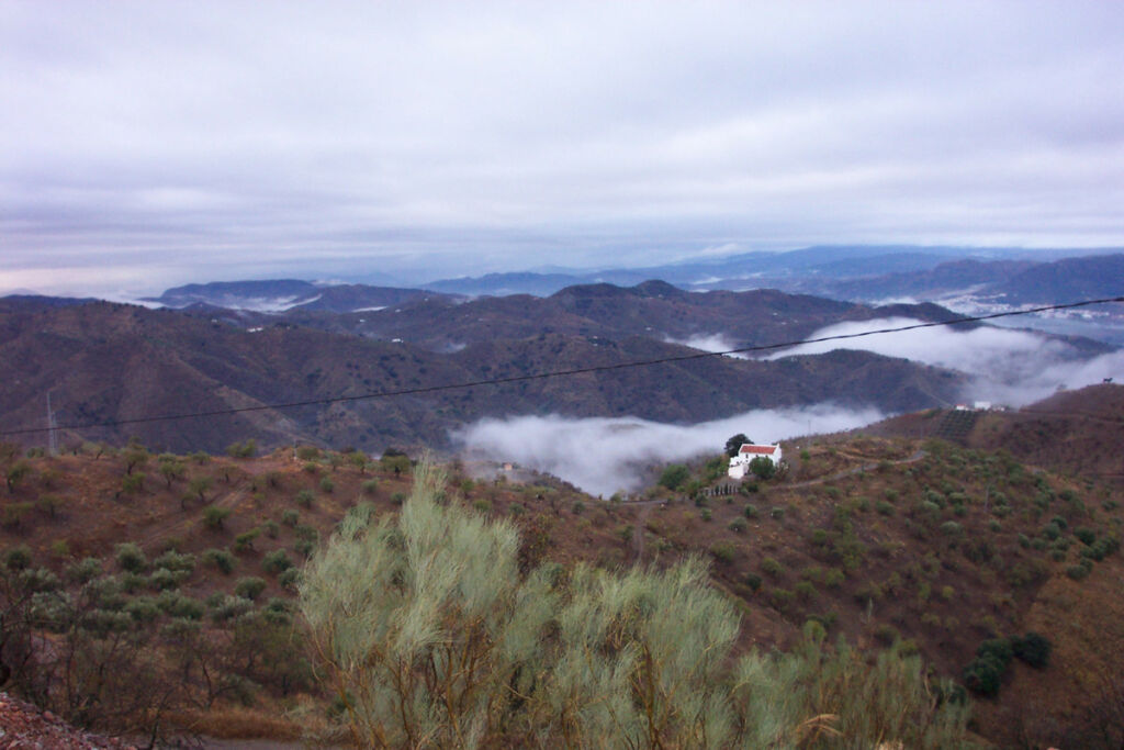 Finca - Cortijo Alora Málaga - image 15