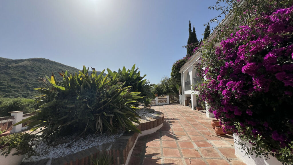 Finca - Cortijo La Duquesa Málaga - image 17