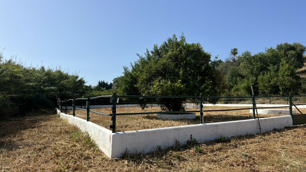 Finca - Cortijo La Duquesa Málaga - image 6