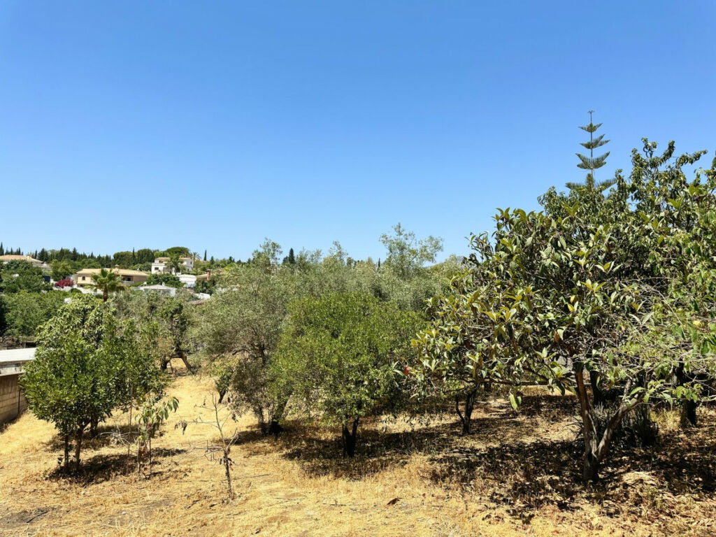 Finca - Cortijo Marbella Málaga - image 16