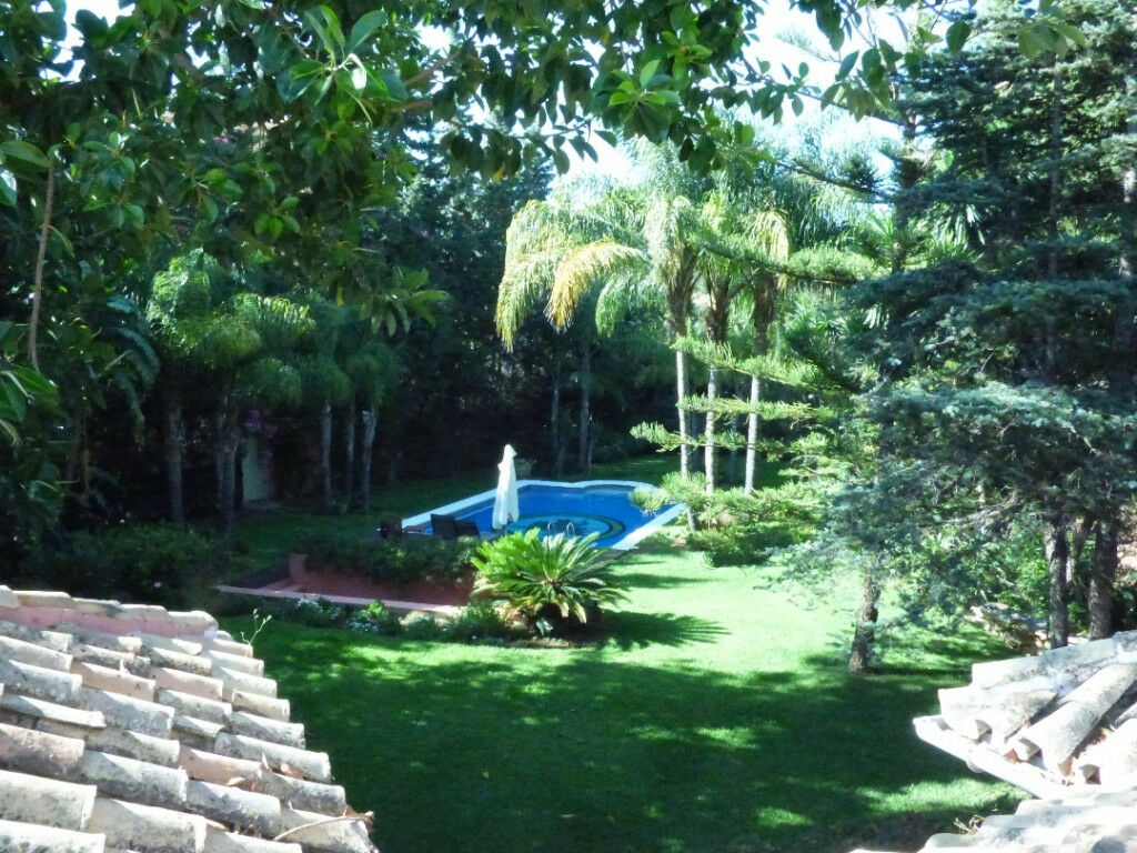Detached Villa Torrenueva Málaga - image 17