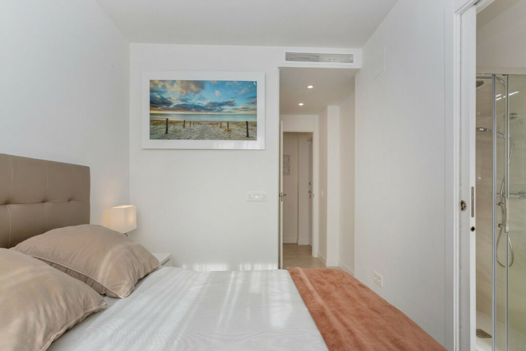 Middle Floor Apartment Villamartin Alicante - image 21