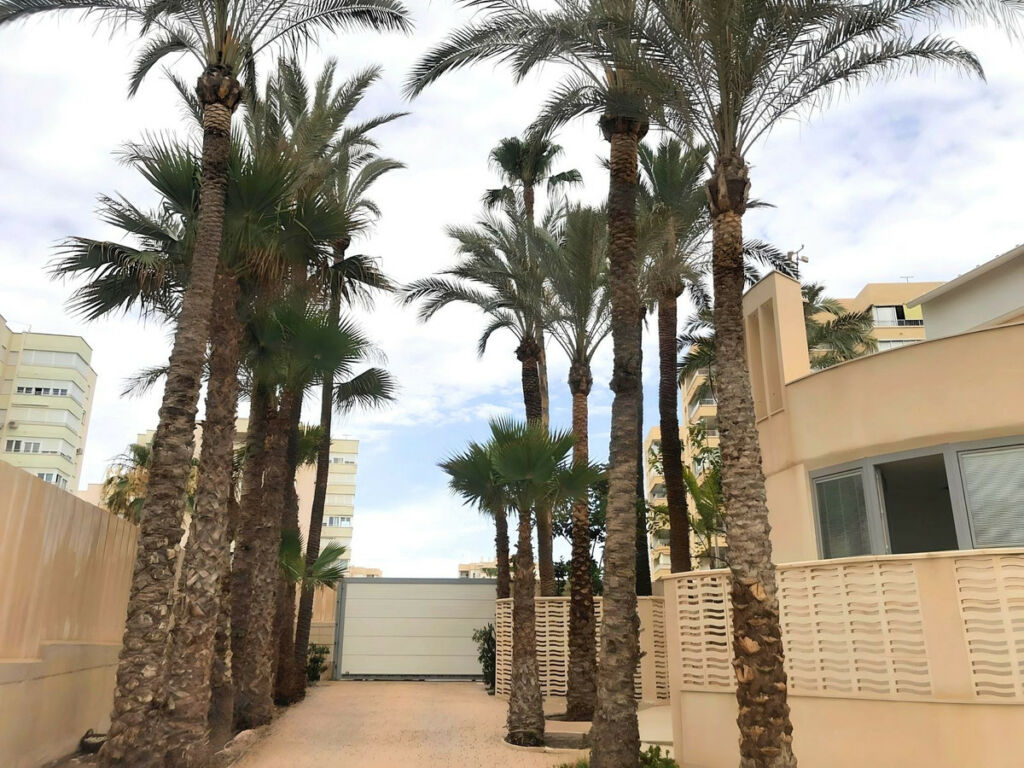 Detached Villa El Altet Alicante - image 19