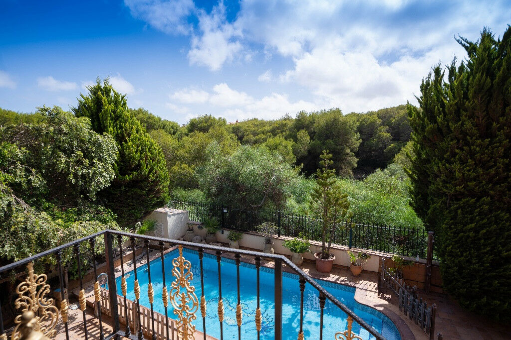 Detached Villa Campoamor Alicante - image 2