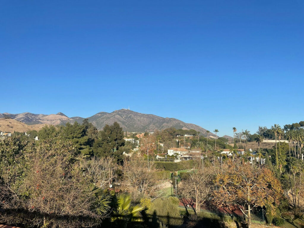 Detached Villa Mijas Málaga - image 2