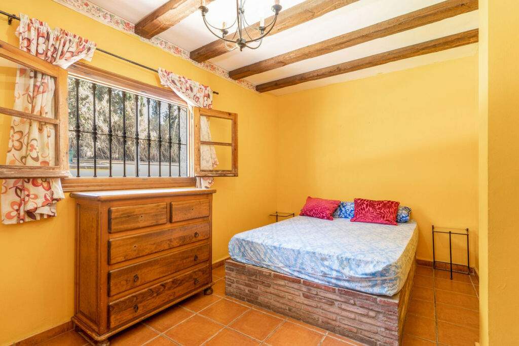 Finca - Cortijo Jimena de la Frontera Cádiz - image 20