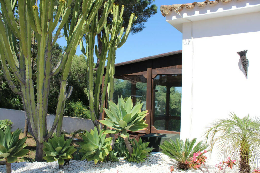 Detached Villa Sotogrande Costa Cádiz - image 19