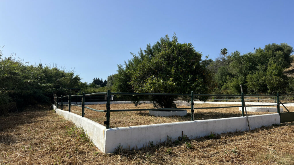 Finca - Cortijo La Duquesa Málaga - image 22