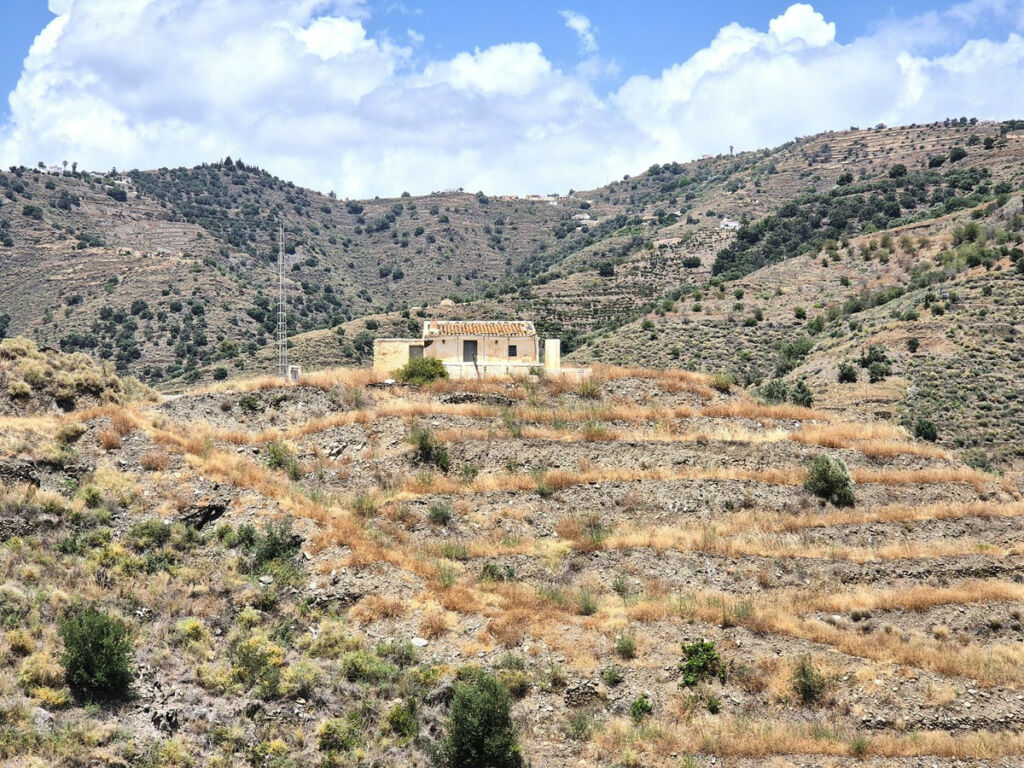 Finca - Cortijo Torrox Málaga - image 24