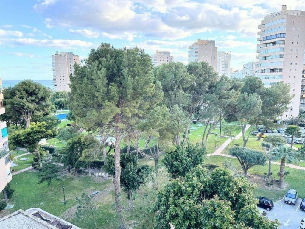 Middle Floor Apartment Playamar Málaga - image 26