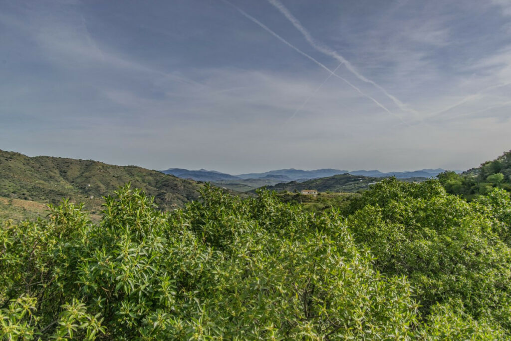 Detached Villa Monda Málaga - image 27