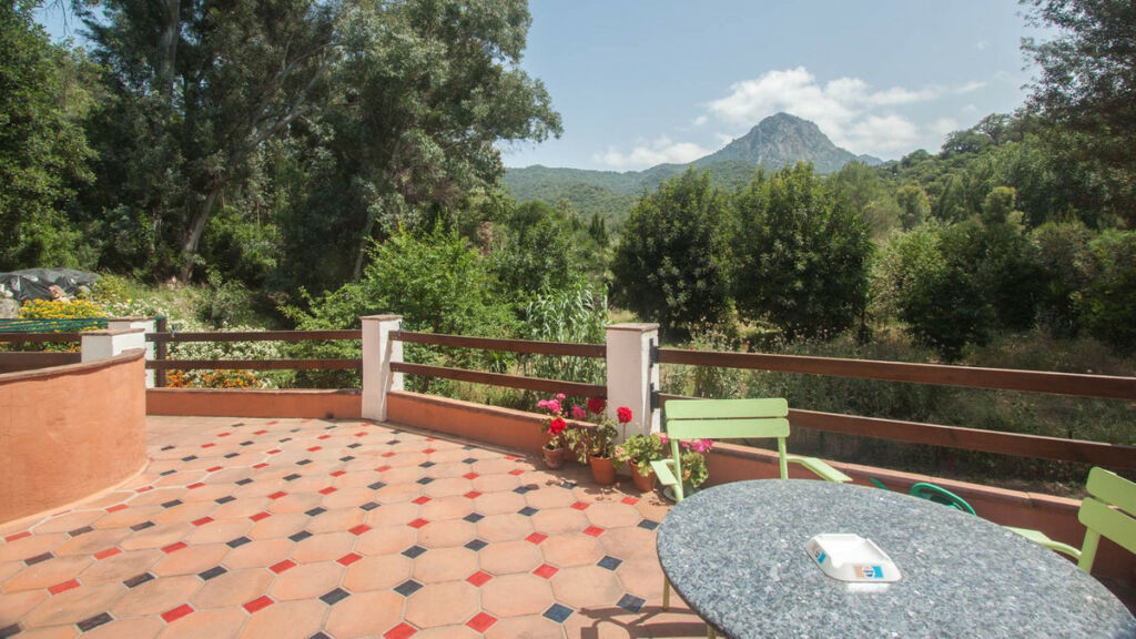 Finca - Cortijo Gaucín Málaga - image 29