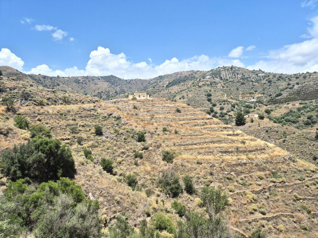 Finca - Cortijo Torrox Málaga - image 3