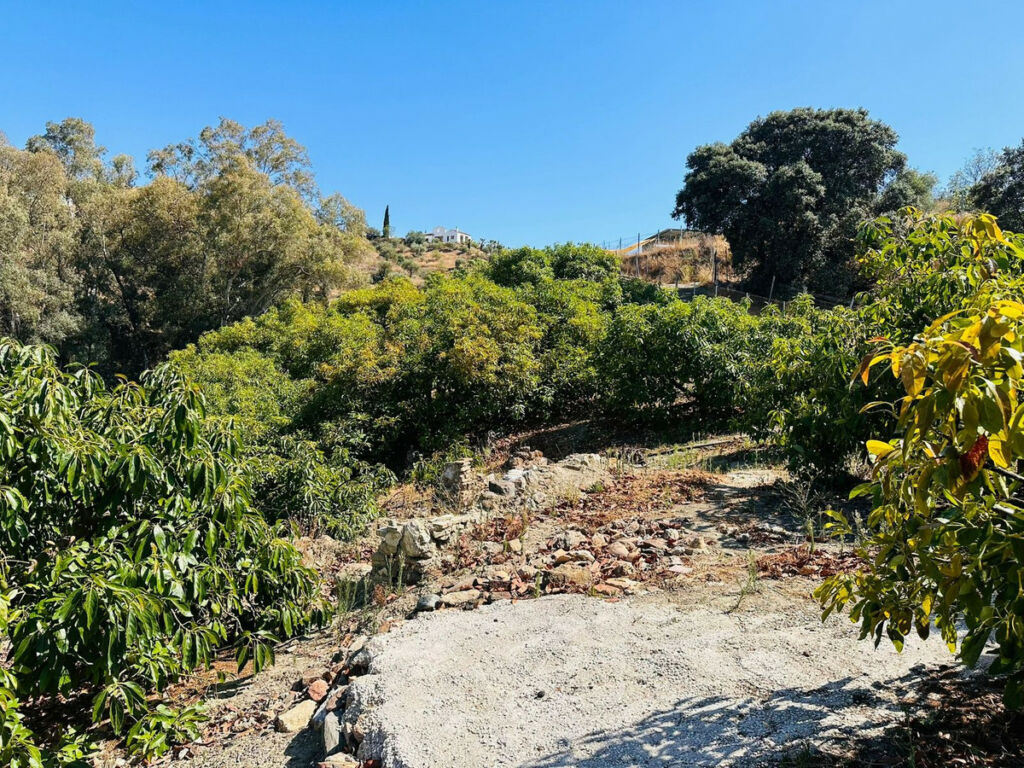 Finca - Cortijo Coín Málaga - image 7