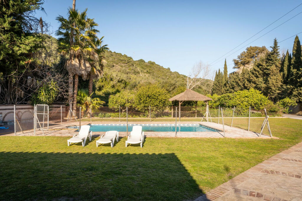Finca - Cortijo Jimena de la Frontera Cádiz - image 3