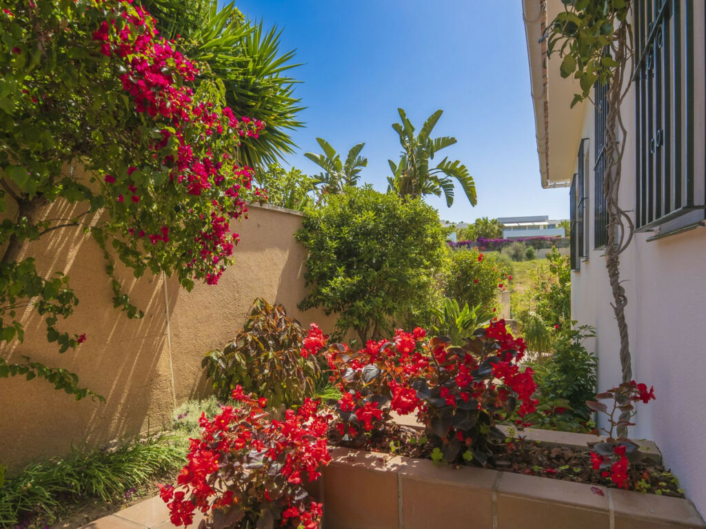 Detached Villa Marbella Málaga - image 3