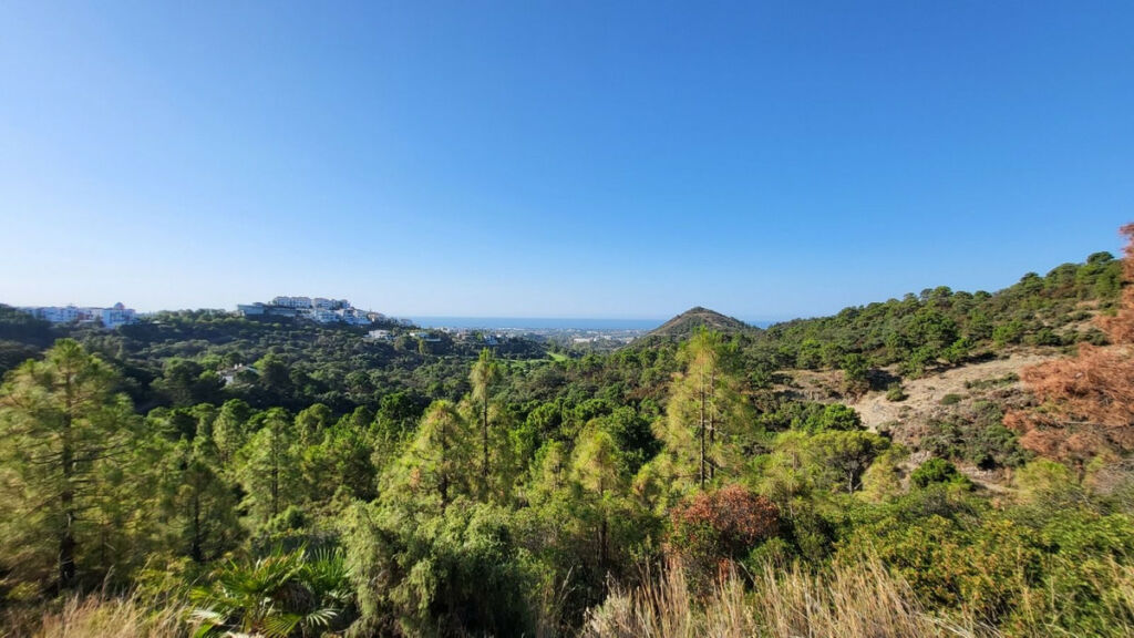 Residential Plot Benahavís Málaga - image 3