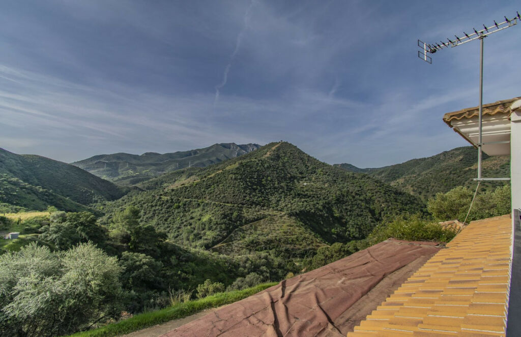 Detached Villa Monda Málaga - image 31
