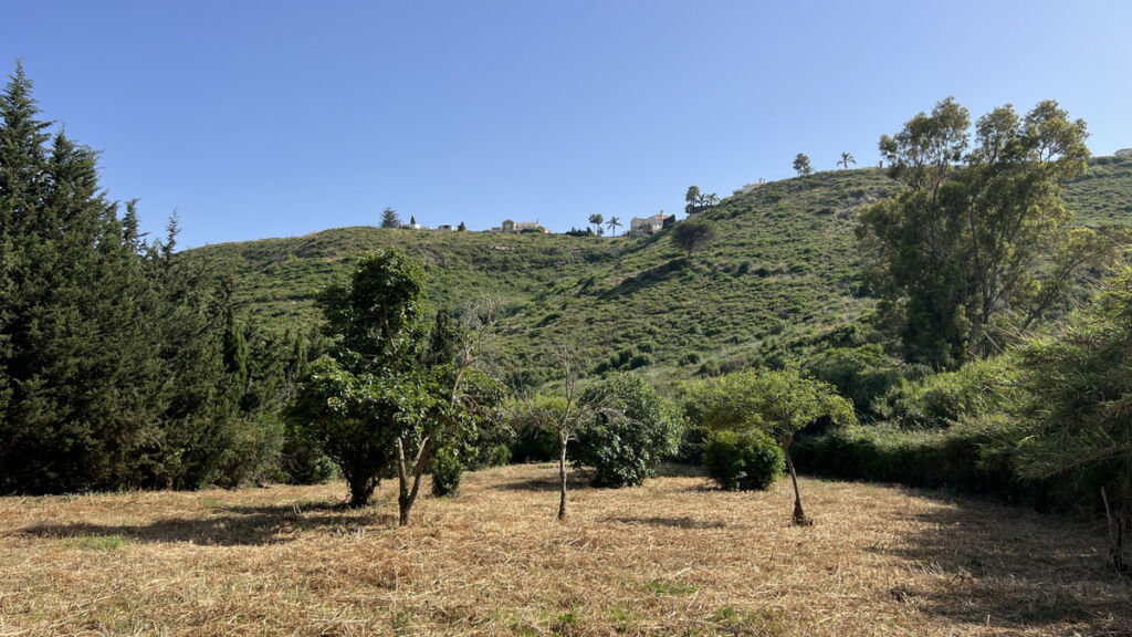 Finca - Cortijo La Duquesa Málaga - image 32