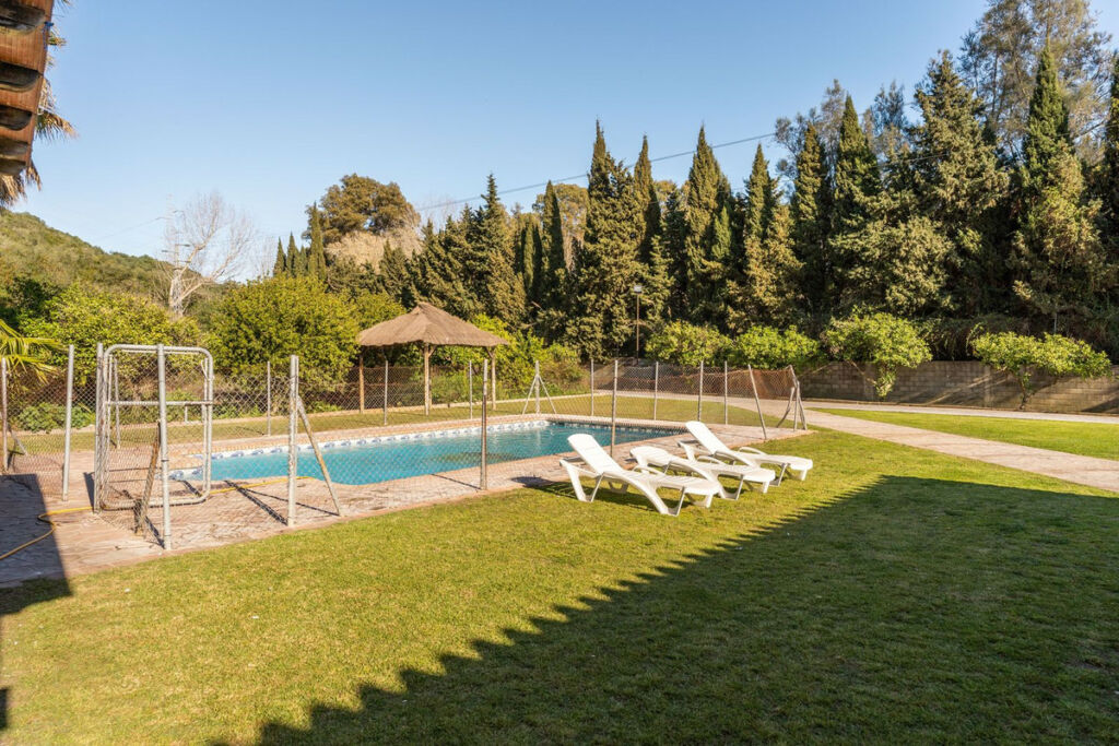 Finca - Cortijo Jimena de la Frontera Cádiz - image 36