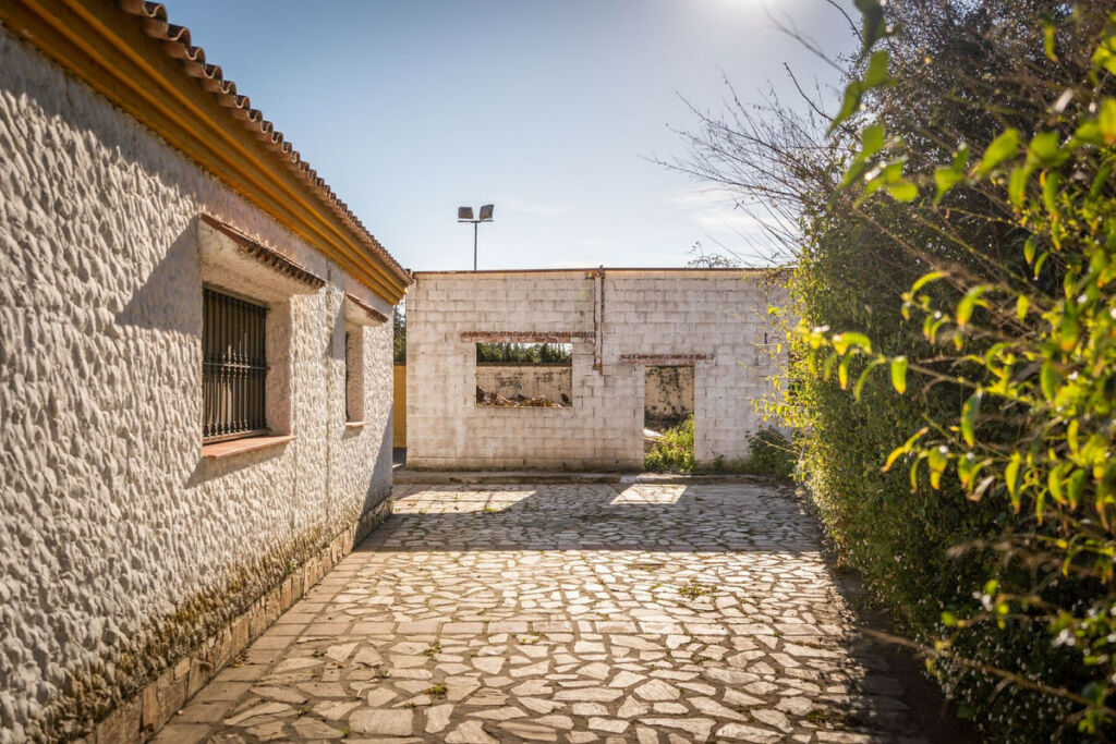Finca - Cortijo Jimena de la Frontera Cádiz - image 37