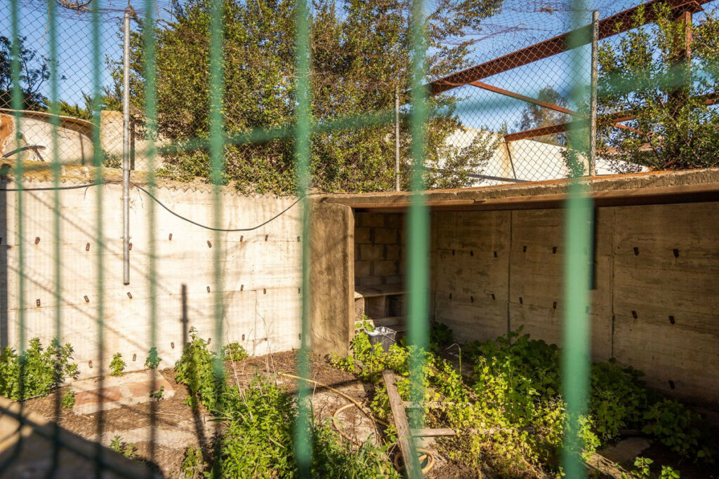 Finca - Cortijo Jimena de la Frontera Cádiz - image 38
