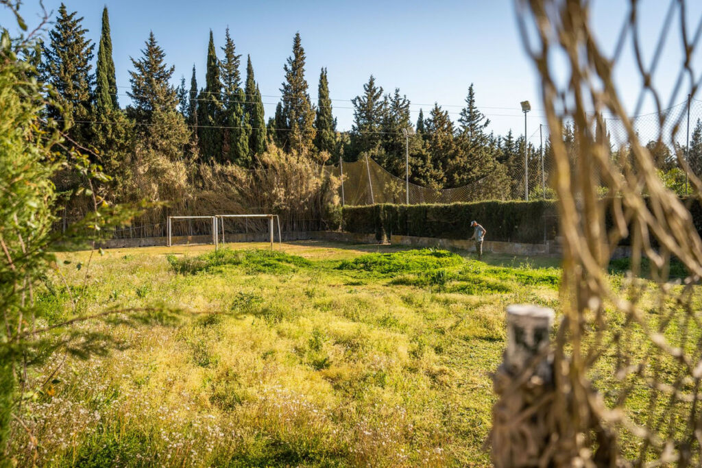 Finca - Cortijo Jimena de la Frontera Cádiz - image 39