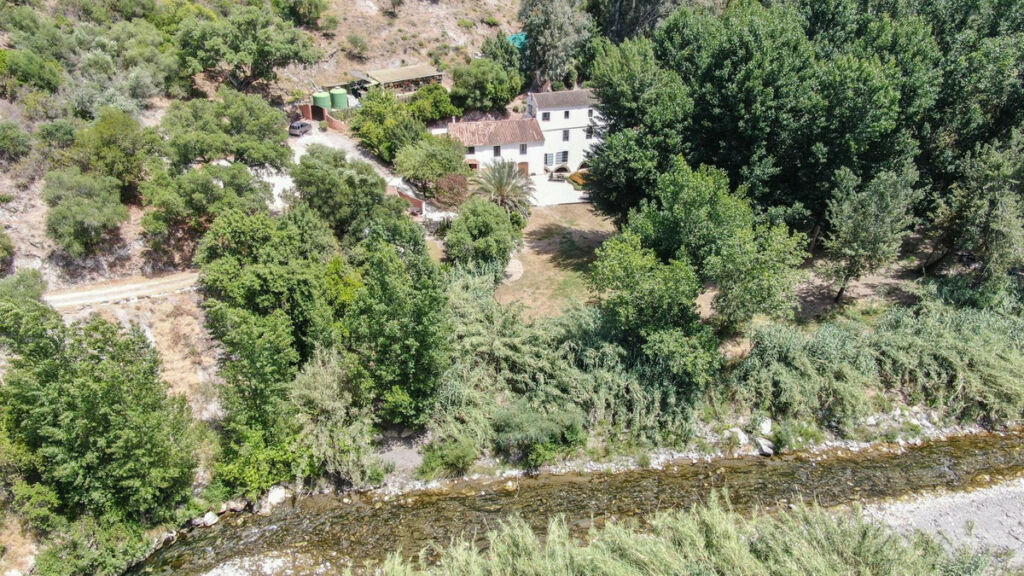 Finca - Cortijo Gaucín Málaga - image 4