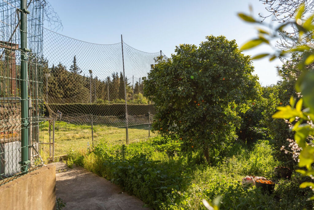 Finca - Cortijo Jimena de la Frontera Cádiz - image 40