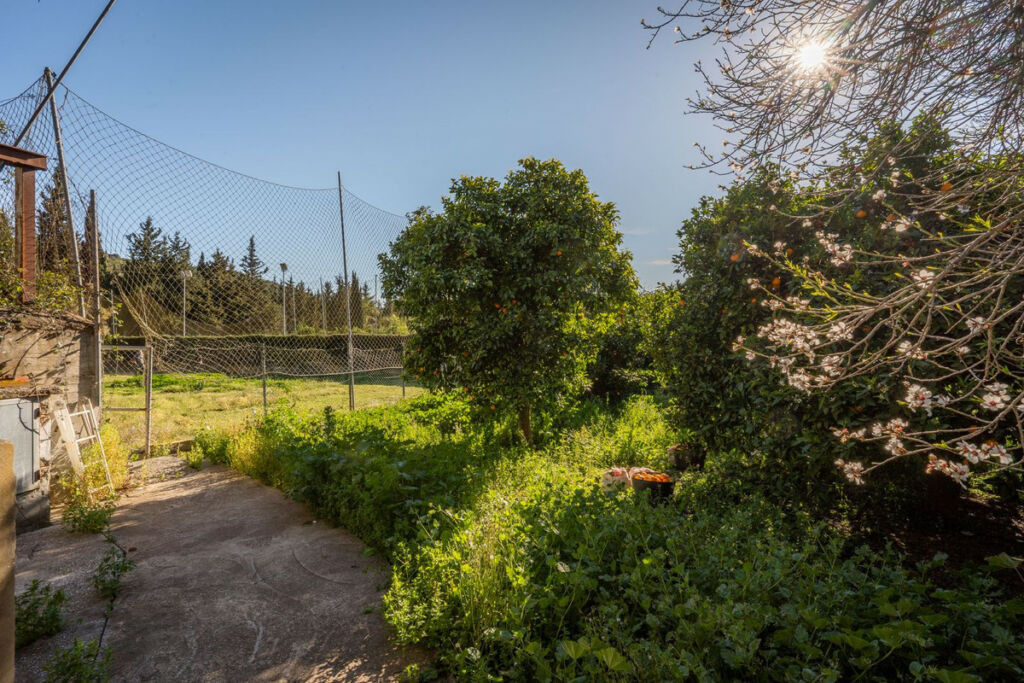 Finca - Cortijo Jimena de la Frontera Cádiz - image 41