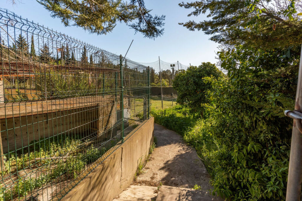Finca - Cortijo Jimena de la Frontera Cádiz - image 42
