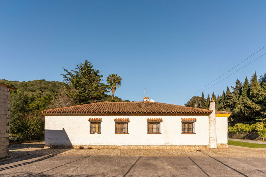 Finca - Cortijo Jimena de la Frontera Cádiz - image 43