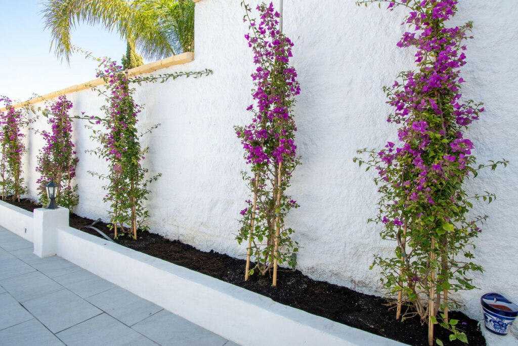 Detached Villa La Cala Hills Málaga - image 44