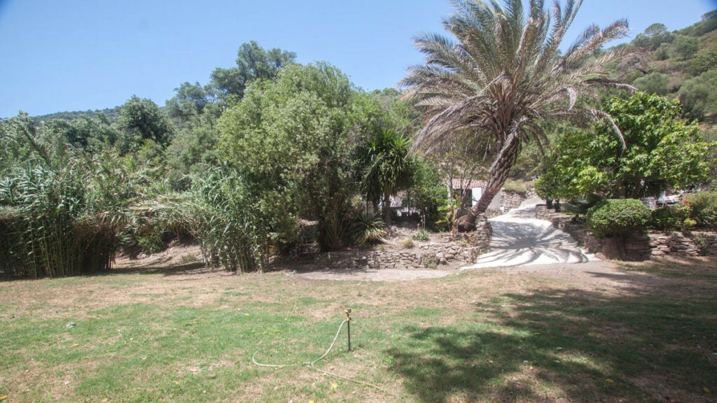 Finca - Cortijo Gaucín Málaga - image 45