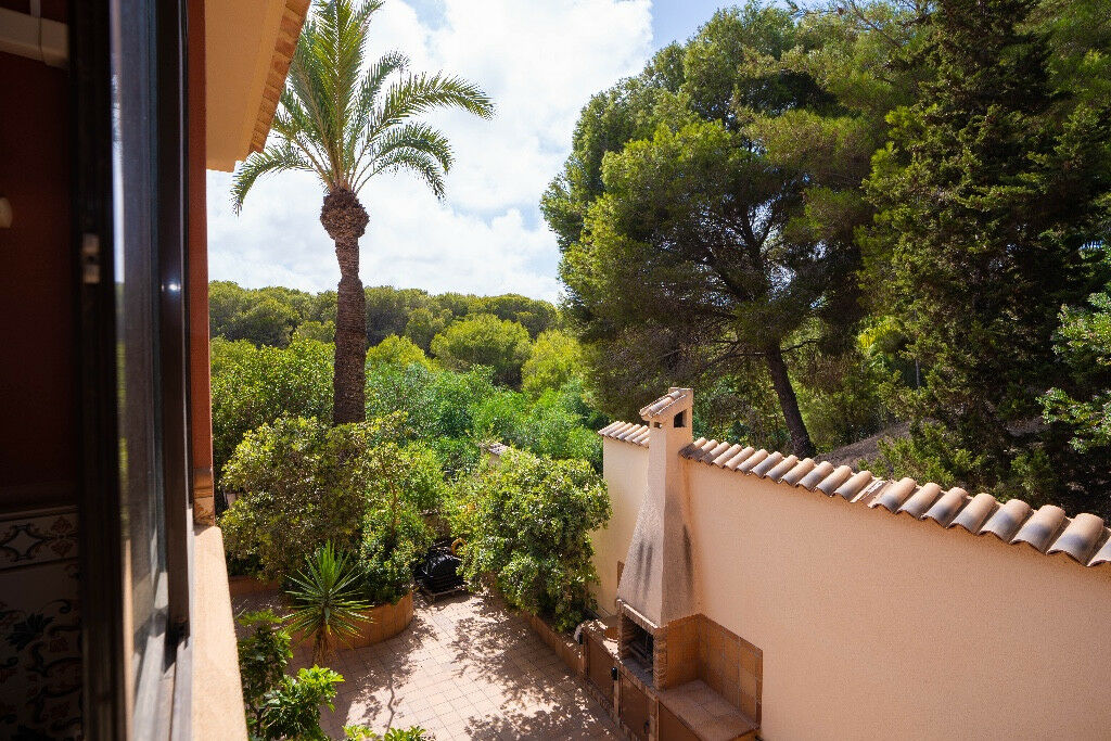 Detached Villa Campoamor Alicante - image 45