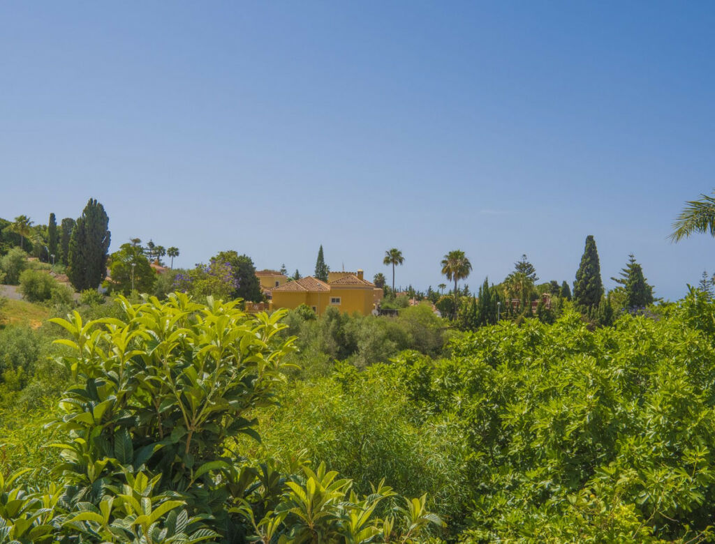 Detached Villa Marbella Málaga - image 46