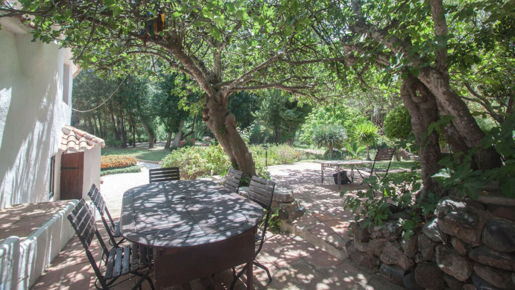 Finca - Cortijo Gaucín Málaga - image 47