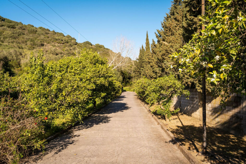 Finca - Cortijo Jimena de la Frontera Cádiz - image 48