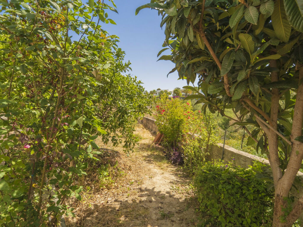 Detached Villa Marbella Málaga - image 49