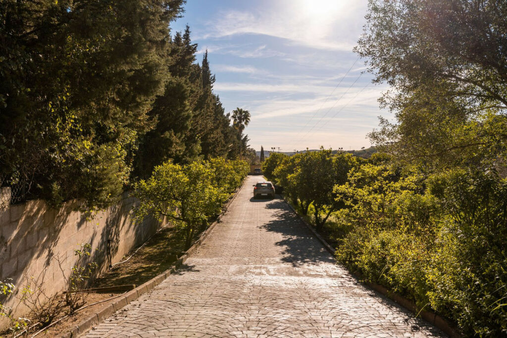 Finca - Cortijo Jimena de la Frontera Cádiz - image 49