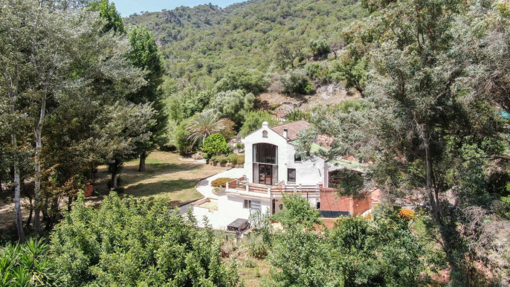Finca - Cortijo Gaucín Málaga - image 5