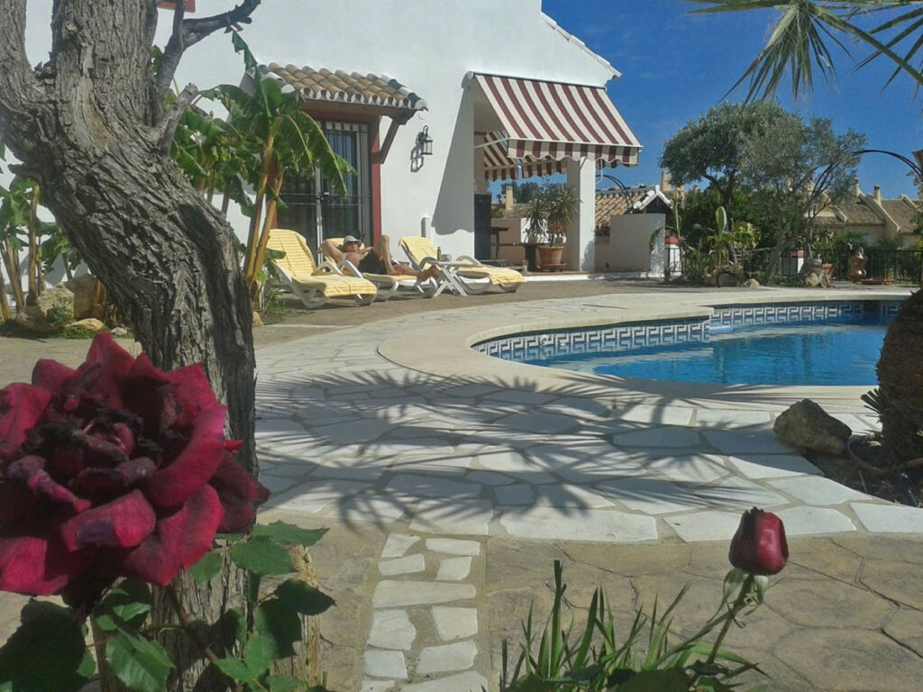 Detached Villa Calahonda Málaga - image 8